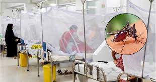 ২৪ ঘণ্টায় ডেঙ্গুতে আরও ৫ জনের মৃত্যু